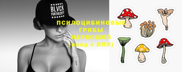 бошки Аша