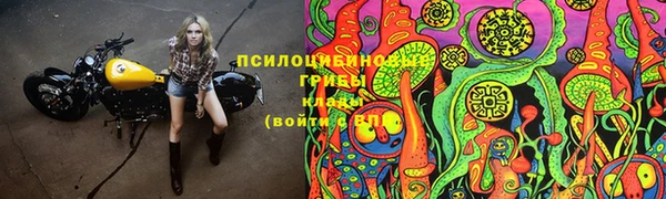 PSILOCYBIN Нея