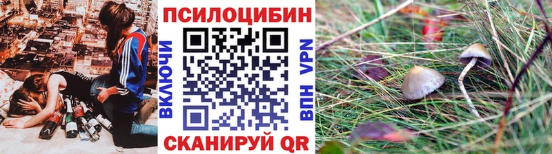 Псилоцибиновые грибы Cubensis  Александровское 